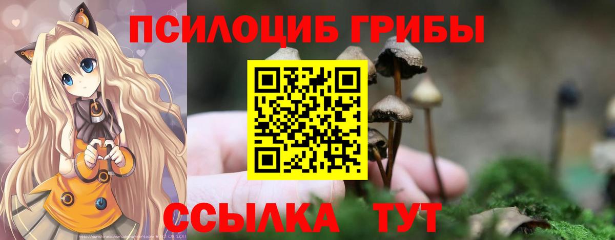 Галлюциногенные грибы мицелий Александров